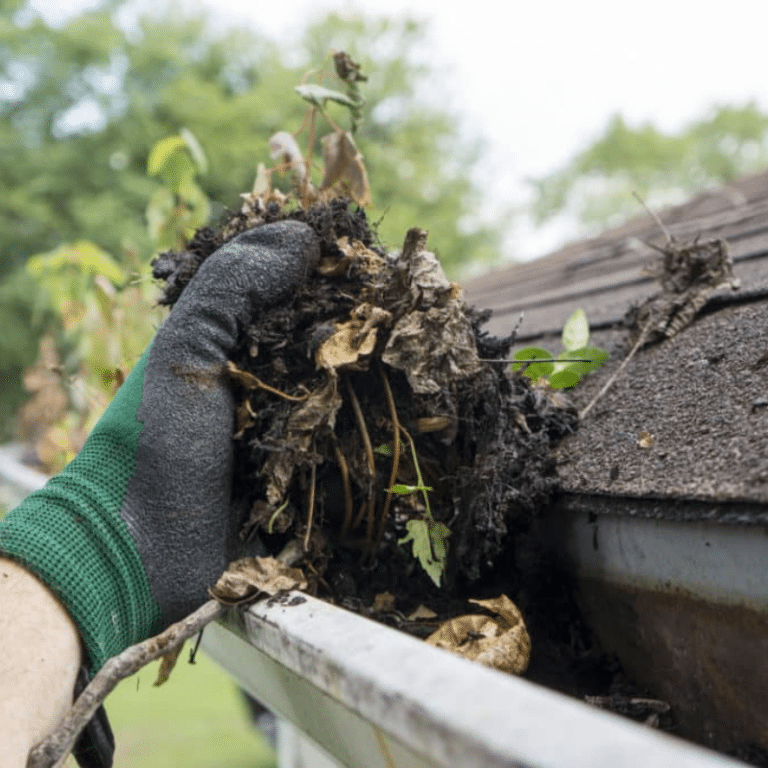 Gutter Cleaning Company in Zanesville, Ohio (2)